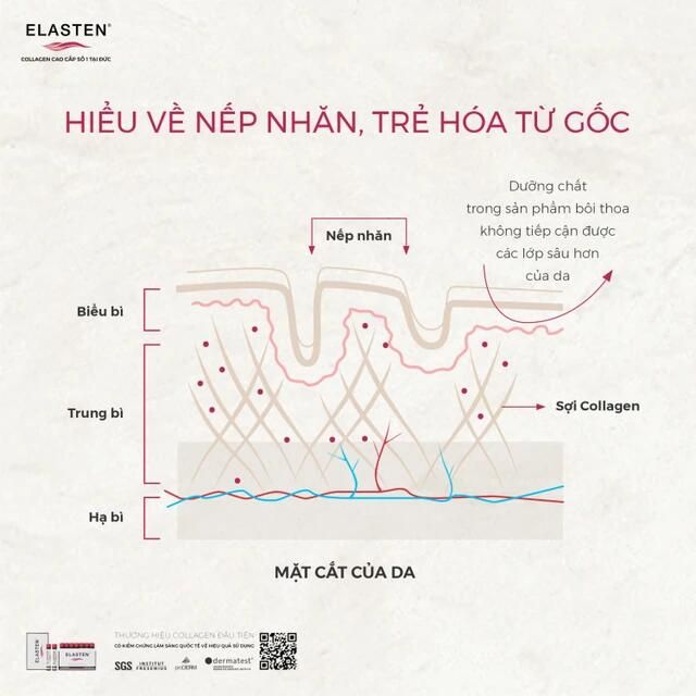 Nước uống Collagen Elasten