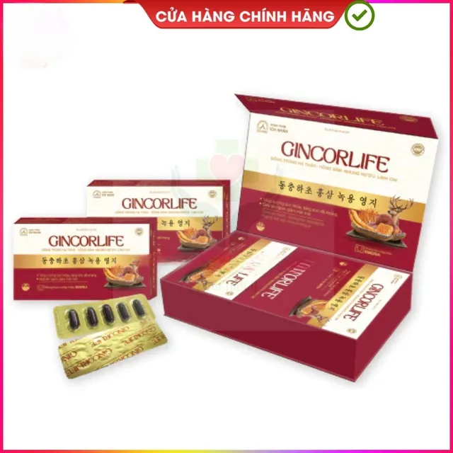 Vi&ecirc;n uống Gincorlife
