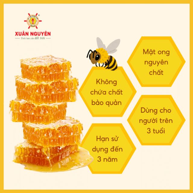 Mật Ong Rừng T&acirc;y Nguy&ecirc;n Xu&acirc;n Nguy&ecirc;n