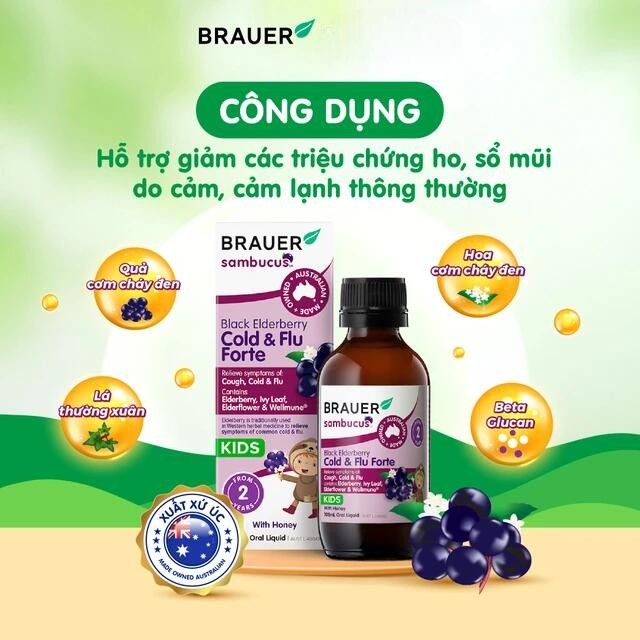 Siro Black Elderberry Cold And Flu Forte