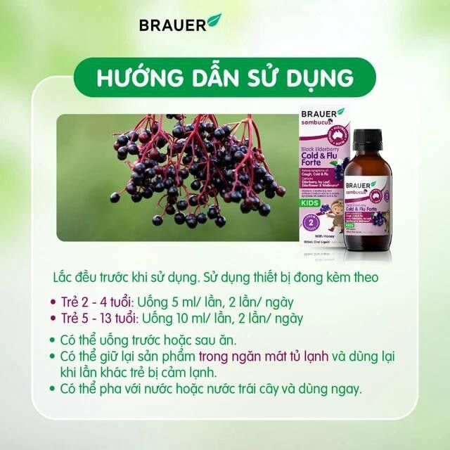 Siro Black Elderberry Cold And Flu Forte
