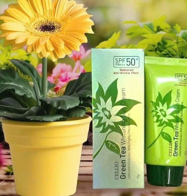 Chống nắng Cellio trà xanh