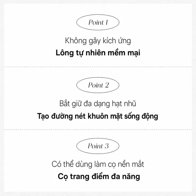 Cọ Trang Điểm Piccasso 13 Highlighter