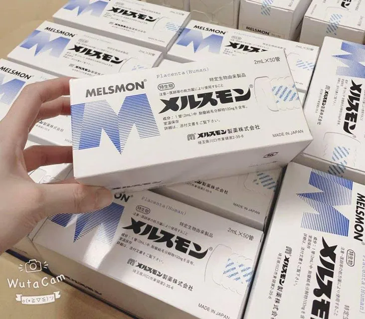 Tế B&agrave;o Gốc Nhau Thai Người Melsmon