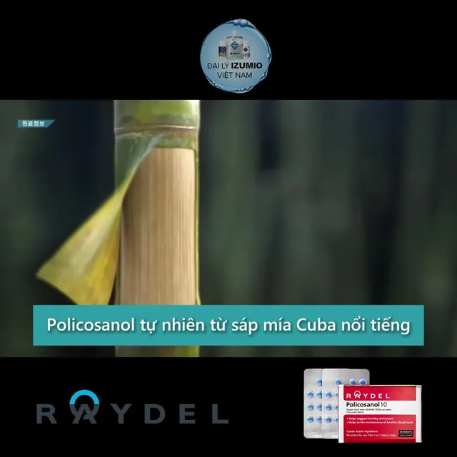 RAYDEL POLICOSANOL 10MG