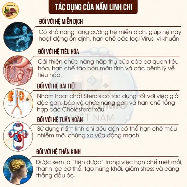 Ti&ecirc;n Thảo Chi Vinacacao