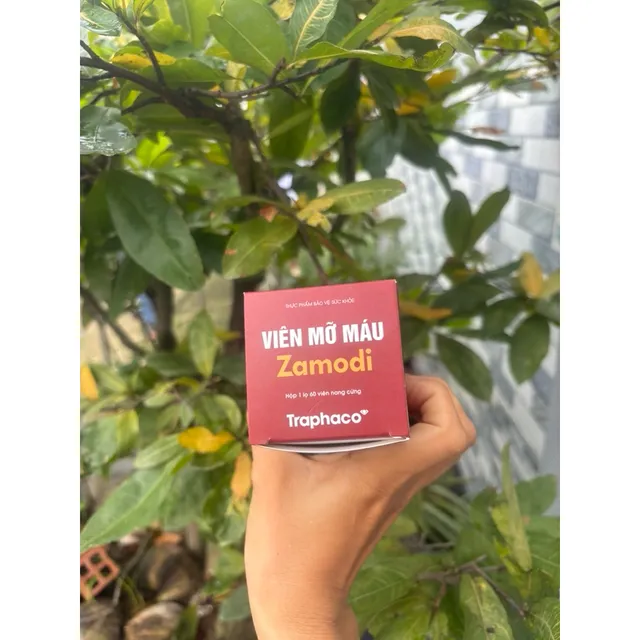 Vi&ecirc;n Mỡ M&aacute;u Zamodi
