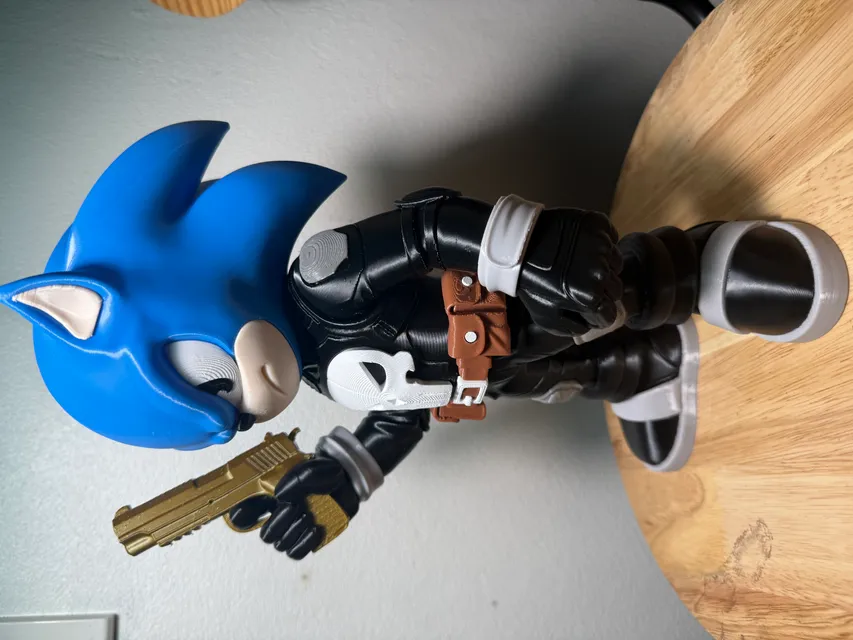 M&ocirc; H&igrave;nh Sonic The Punisher