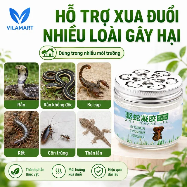 image product content 1