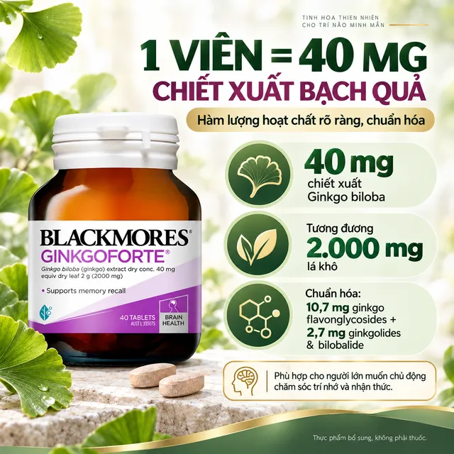 Hỗ trợ tr&iacute; nhớ với Ginkgoforte