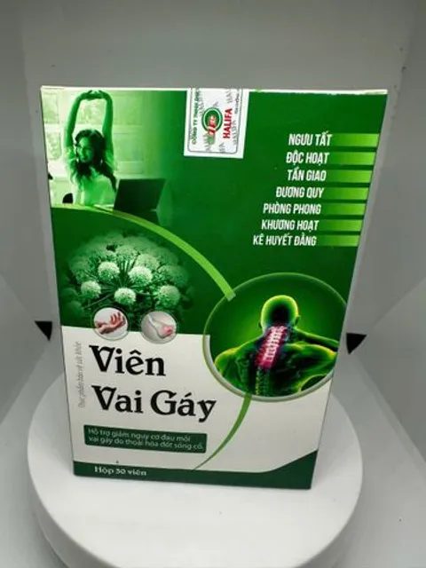 Vi&ecirc;n Vai G&aacute;y