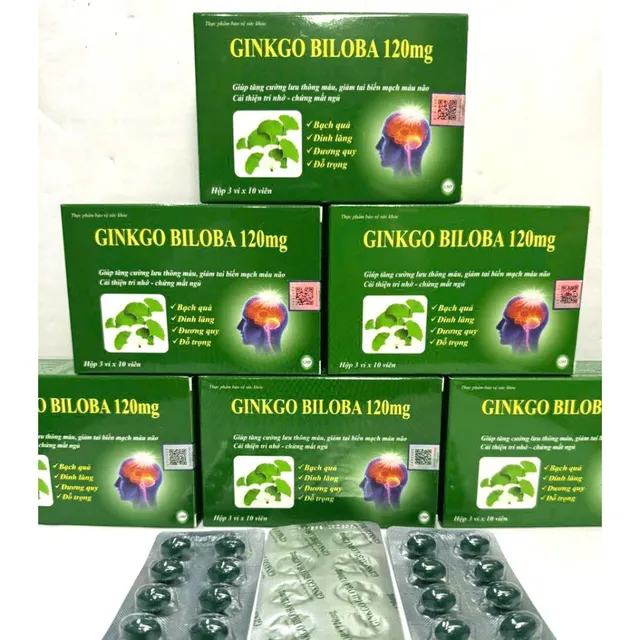 Sản phẩm Ginkgo Biloba 120mg