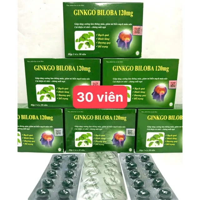 Ginkgo Biloba 120mg