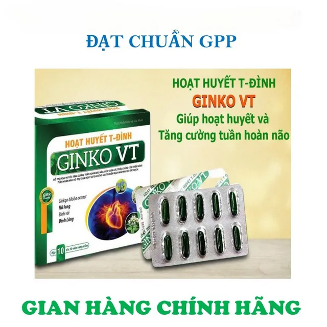 Lợi &iacute;ch của Hoạt huyết T-Đ&igrave;nh Ginko VT