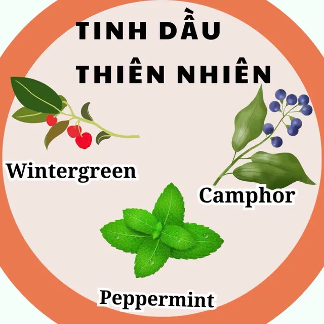 Bảo vệ nh&agrave; ở bằng Tinh Dầu Xua Đuổi Chuột ASA Ratpel