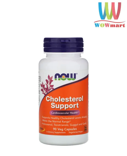 Now Cholesterol Support