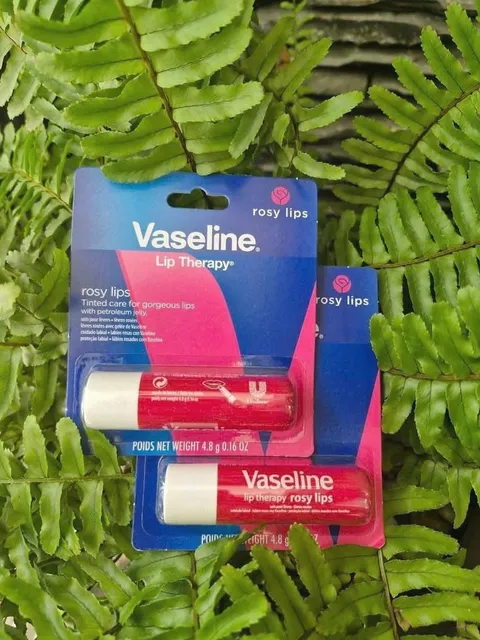 Son dưỡng Vaseline 4.8g