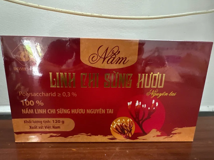 Hộp Nấm Linh Chi Sừng Hươu