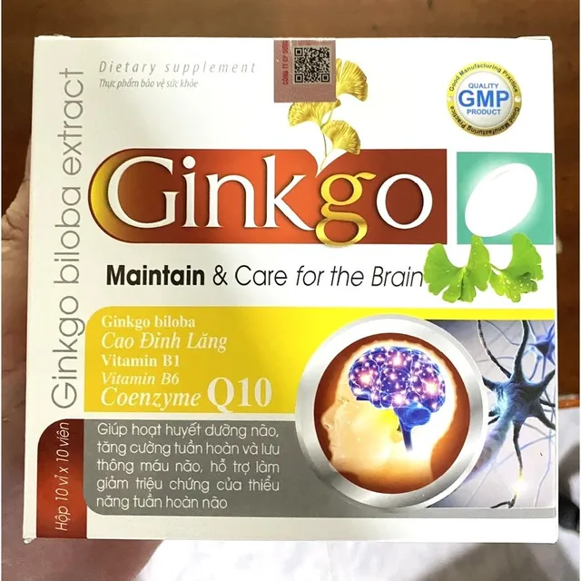 Ginkgo biloba 240mg