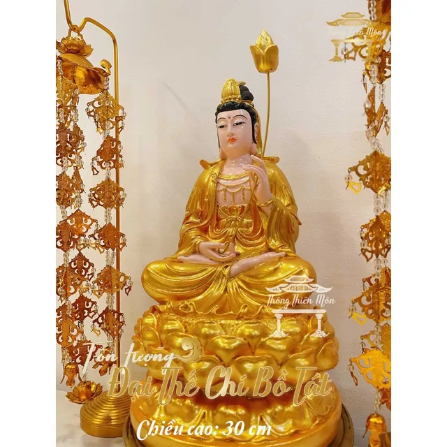 image product content 5