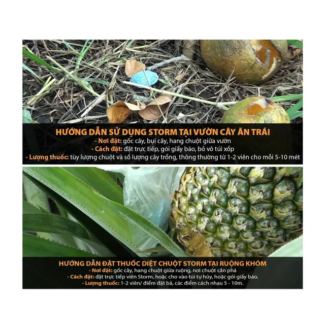 image product content 7