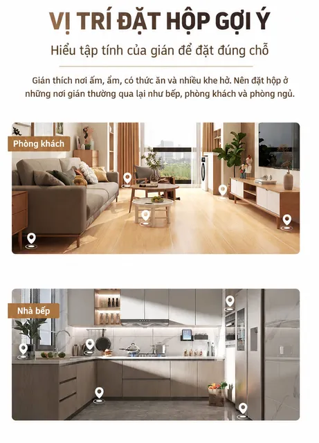 image product content 5