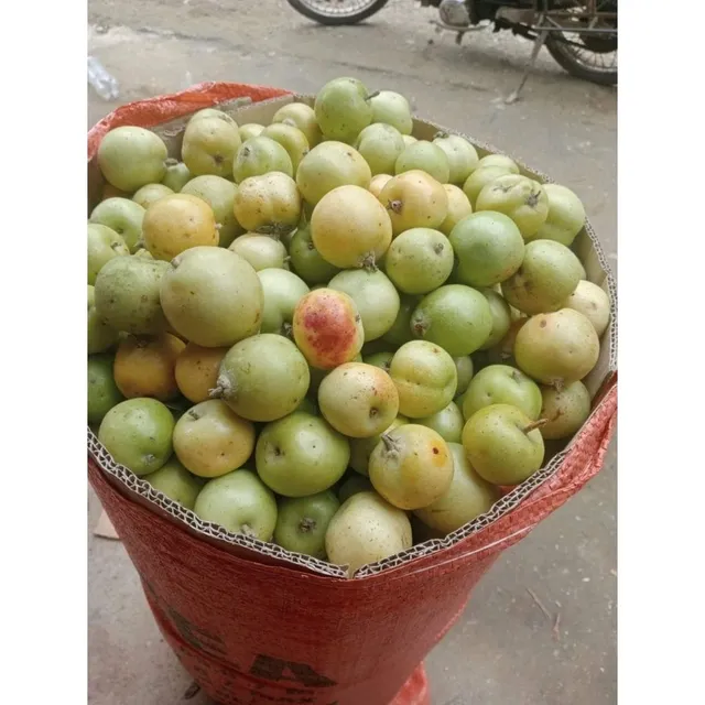 Trà táo mèo rừng Yên Bái combo