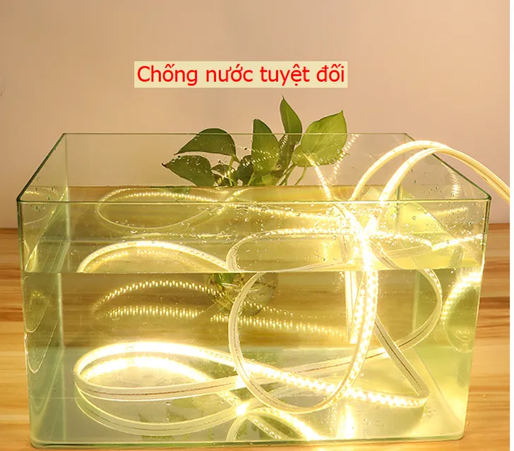 image product content 2