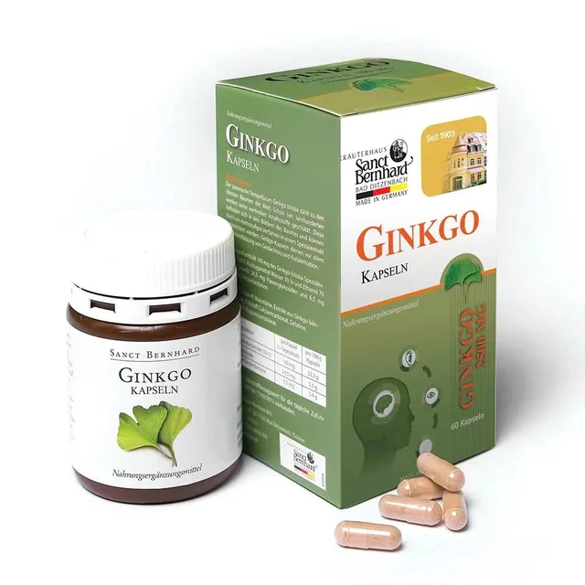 Vi&ecirc;n Ginkgo Kapseln