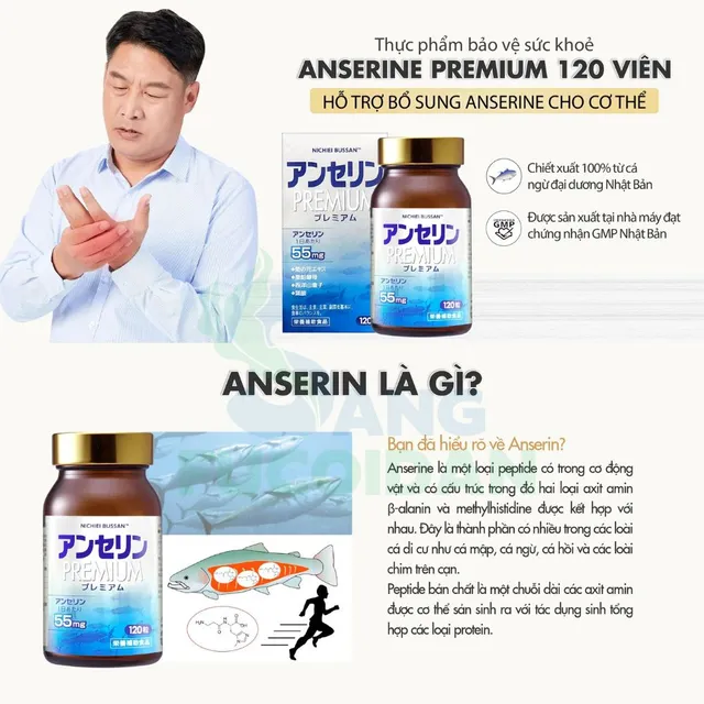 Anserine Premium