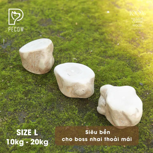 image product content 2