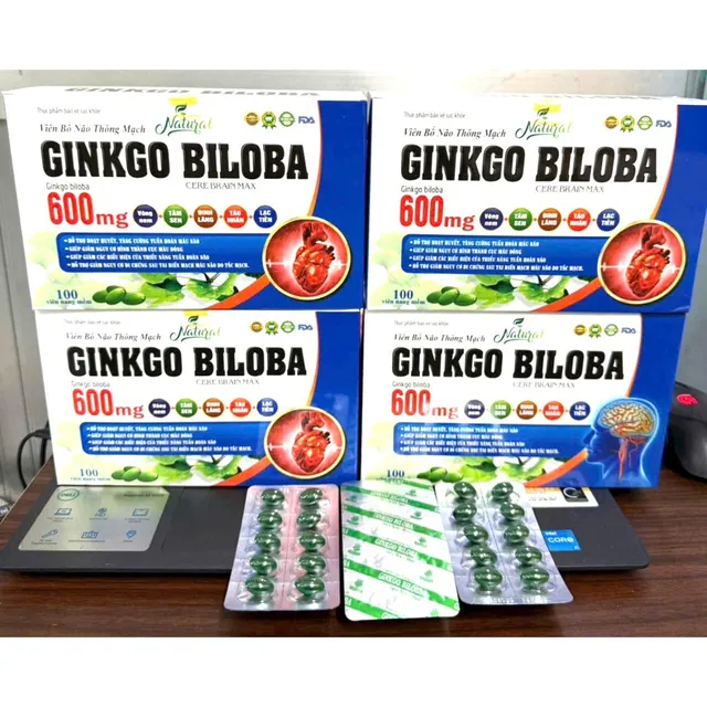 Hướng dẫn sử dụng Hoạt huyết dưỡng n&atilde;o Ginkgo Biloba