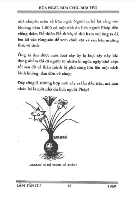 image product content 2