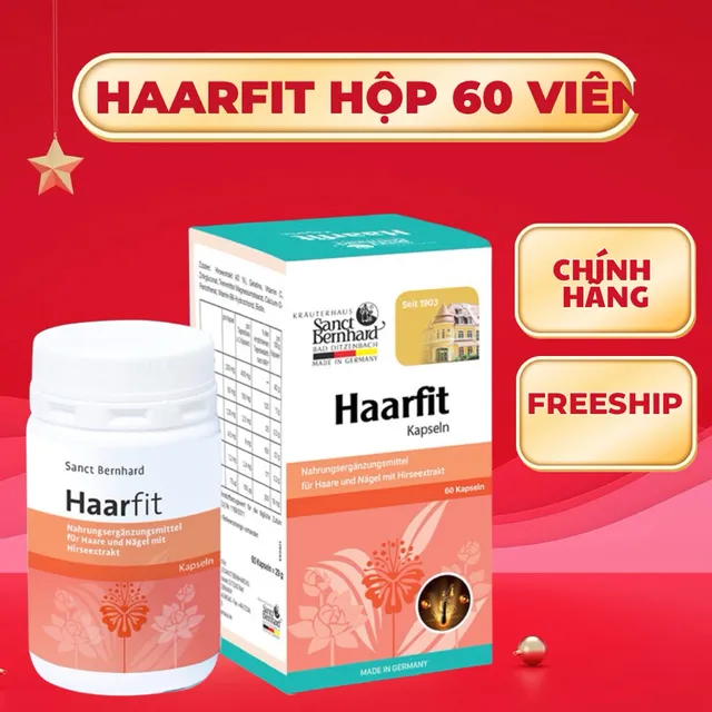 Haarfit Sanct Bernhard