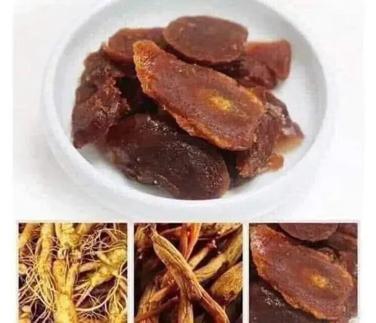 Hồng S&acirc;m L&aacute;t Tẩm Mật Ong
