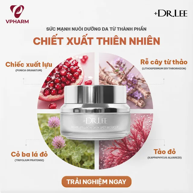 Hướng Dẫn Sử Dụng