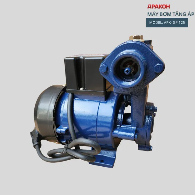 M&aacute;y Bơm Nước APAKOH GP125