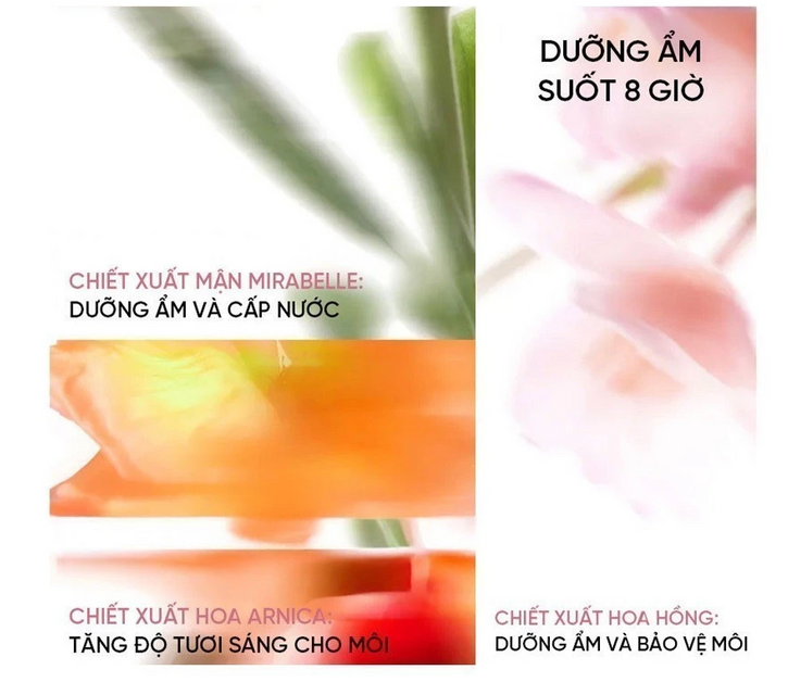 image product content 5