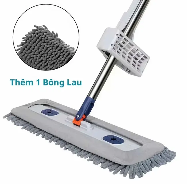 Thiết kế thông minh Cây Lau Nhà San Hô