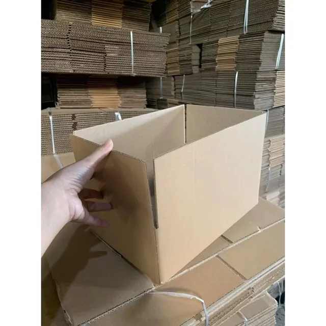 Hộp Carton Lidocain 3