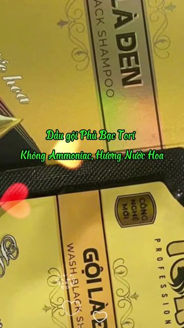 Gội Phủ Bạc Tori