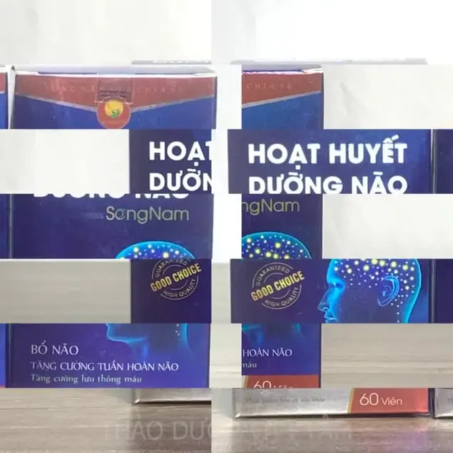 TPBVSK Hoạt Huyết Dưỡng N&atilde;o Song Nam