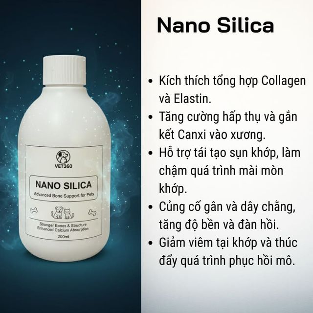 Loạn sản xương ở ch&oacute; m&egrave;o