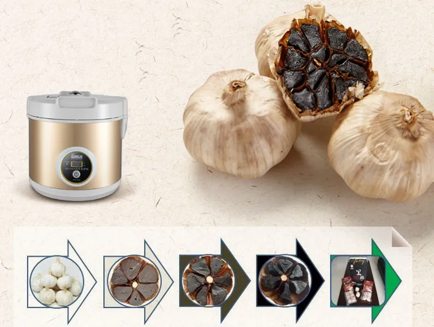 Tỏi sẽ chuyển biến dần trong điều kiện nhiệt độ v&agrave; độ ẩm l&yacute; tưởng để th&agrave;nh tỏi đen