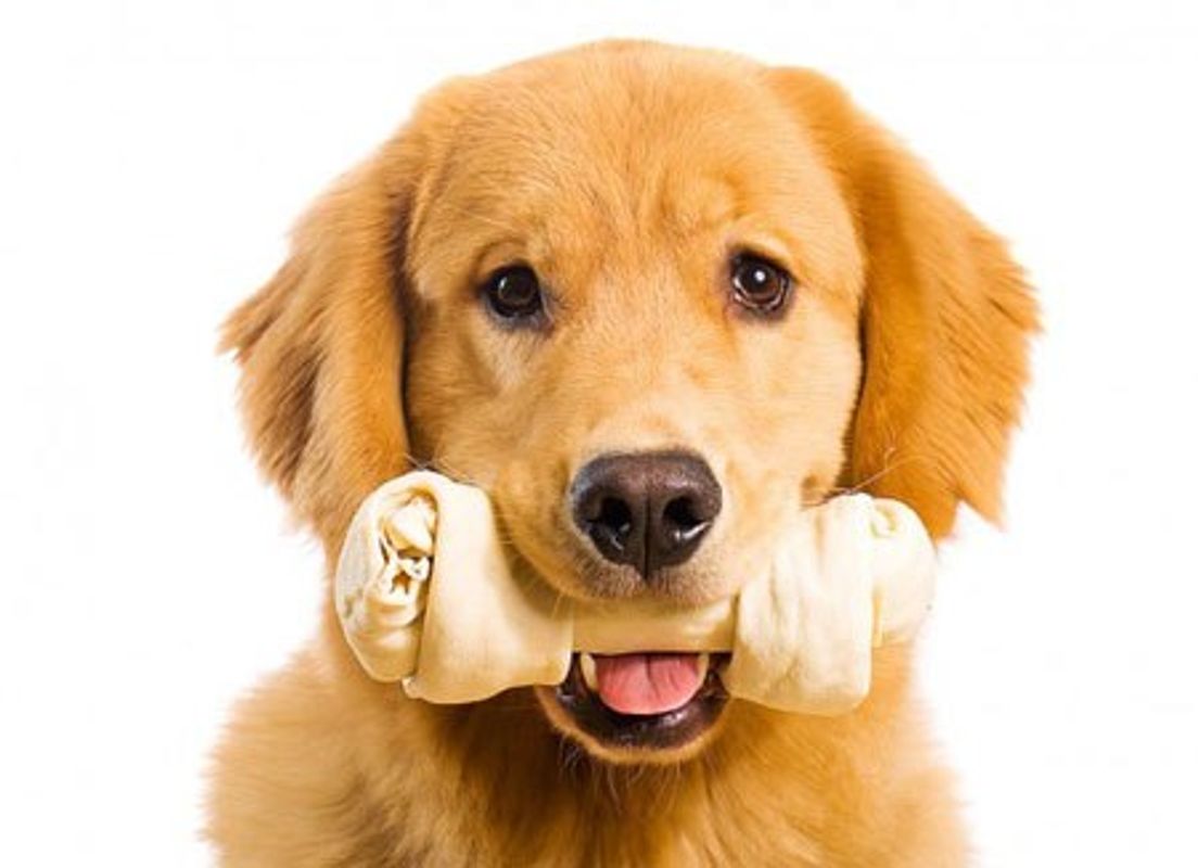Với xương gặm cho chó, bạn có thể đem lại niềm vui và giúp phát triển hàm răng cho chú cún của mình. Hãy xem hình ảnh để tìm kiếm xương phù hợp cho chó cưng của bạn.