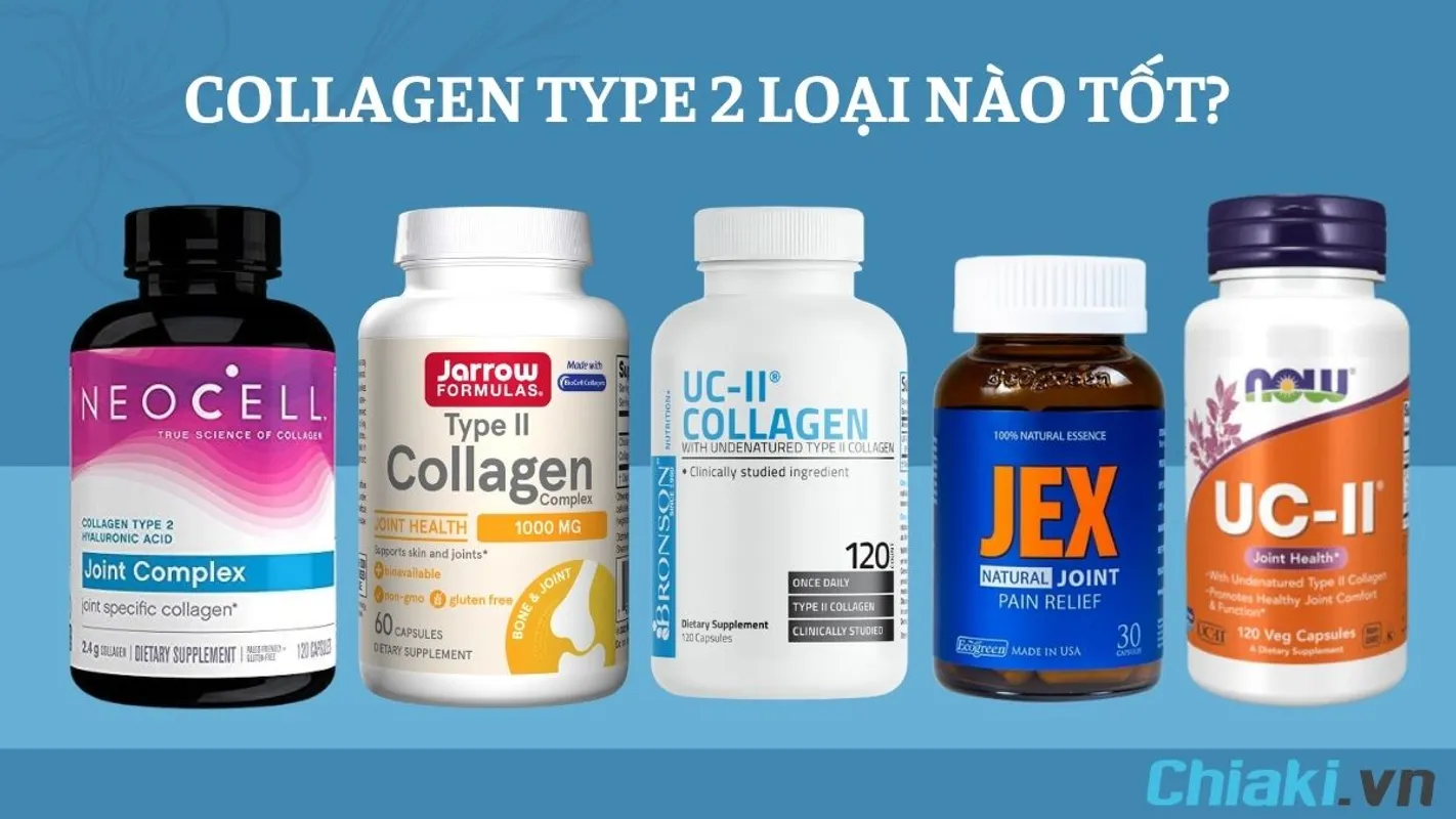 Collagen Type 2 Có Tác Dụng Gì