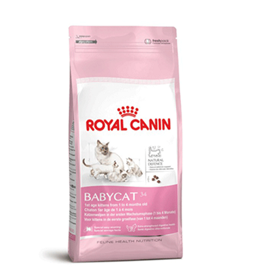 Thức Ăn Hạt Cho Mèo Từ 1- 4 Tháng Royal Canin Baby Cat