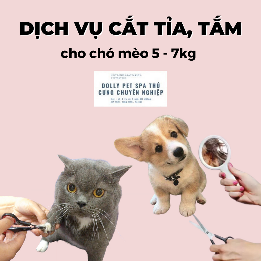 Voucher Cắt Tỉa Và Tắm Trọn Gói Cho Chó Mèo 5 Đến 7kg