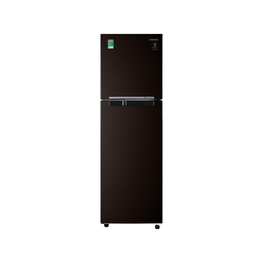 Tủ Lạnh Samsung Inverter 236 Lít RT22M4032BY/SV
