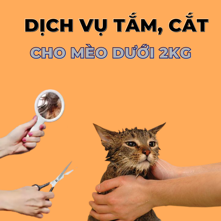 Voucher Dịch Vụ Tắm Cắt Cho Mèo Dưới 2kg